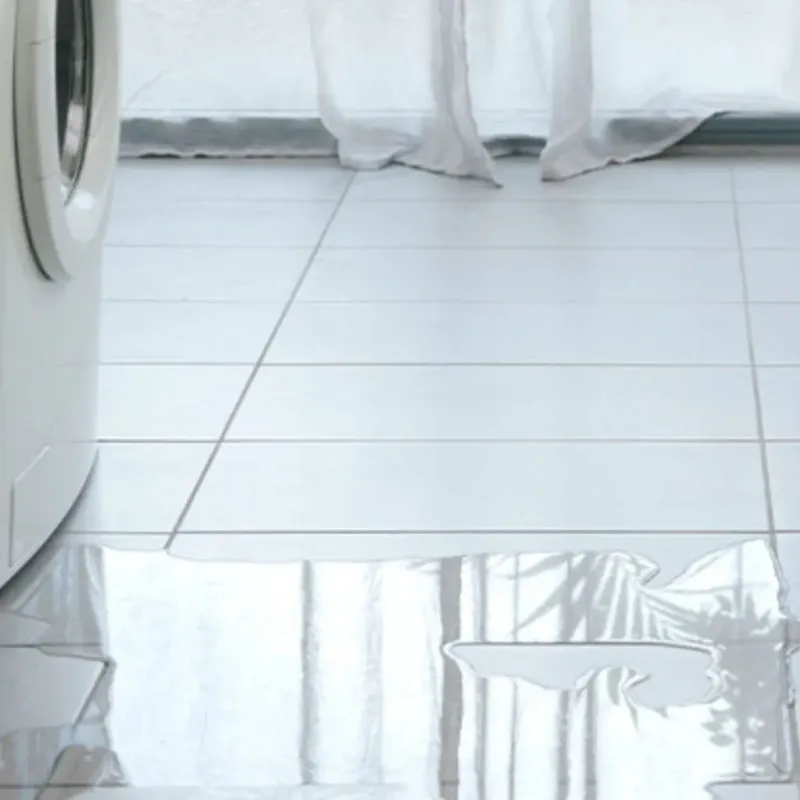 Appliance Leak Cleanup in Reno, NV